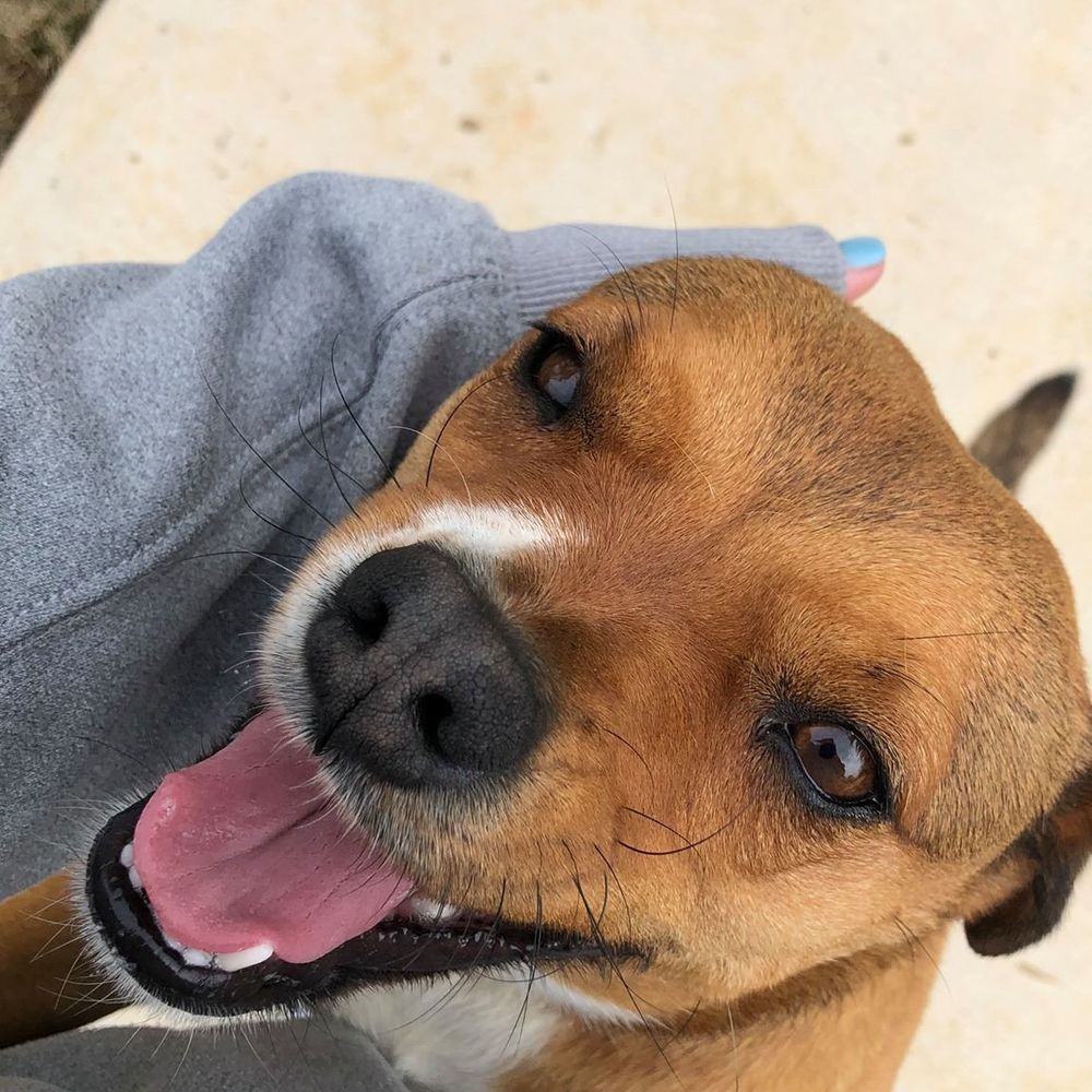 Meet your Posher, Skylar